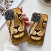 Lion Face Photo for iPhone17ProMax Metallic Paint Glass Mobile Phone Protective Case 17 All-inclusive 15 Fine Holes