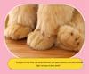 Labrador & Bulldog Plush Toy Puppy Dolls - Children's Birthday Gift