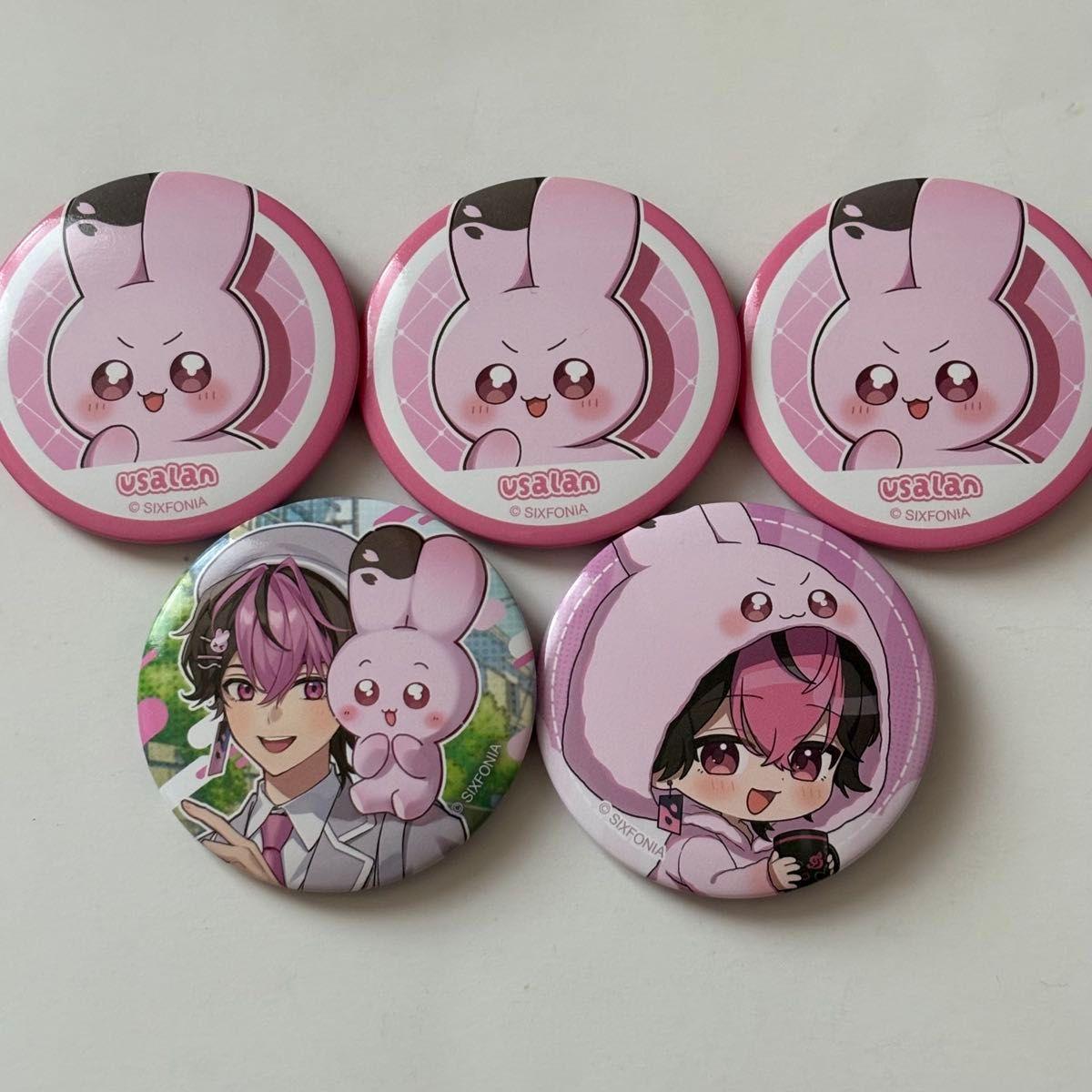 Used Sikuphoni LAN can badge 5 piece set