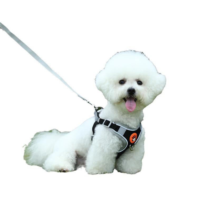 Arnés para Perro Transpirable Estilo Chaleco y Correa para Razas Pequeñas