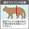 [Mannerwear] Cat Diapers S Size 38 Count x3