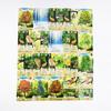 Forest Shuffle Card Family Game for Kids Adults Woodland Edge Party Board Games