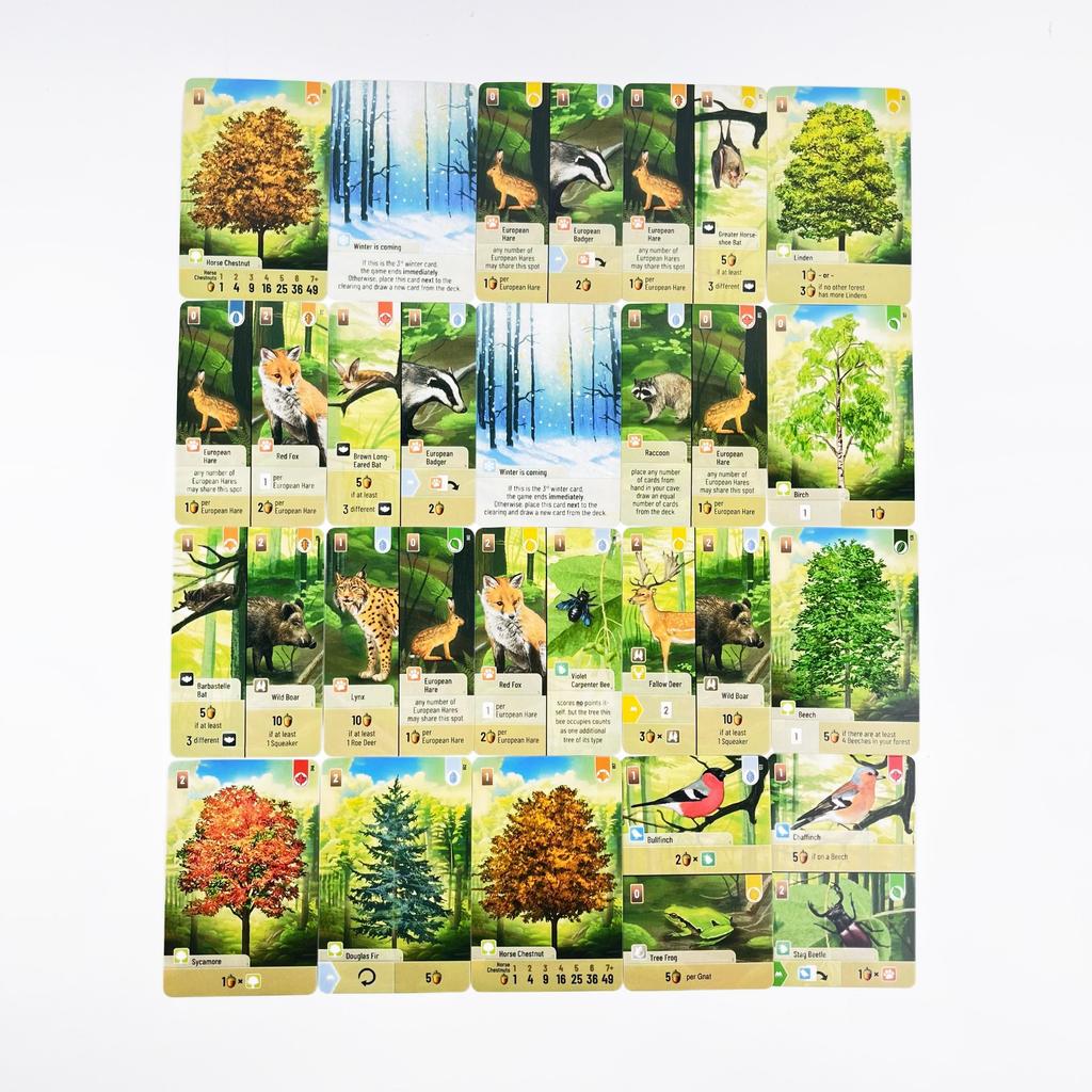 Forest Shuffle Card Family Game for Kids Adults Woodland Edge Party Board Games