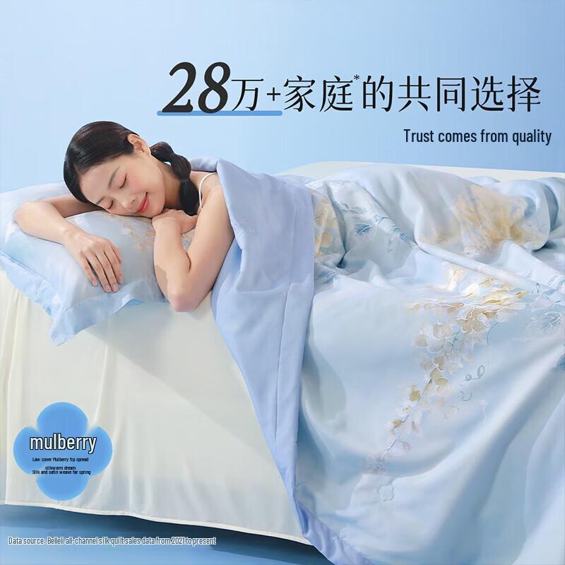 Bailisi Organic Tussah Silk Summer Quilt