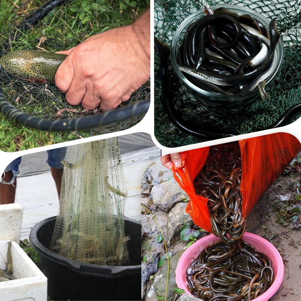 Fish Traps Pinfish Trap Portable Cage Accessories Net for Shrimping Boat Beach Aquarium Turtle Lake Outdoor Crayfish