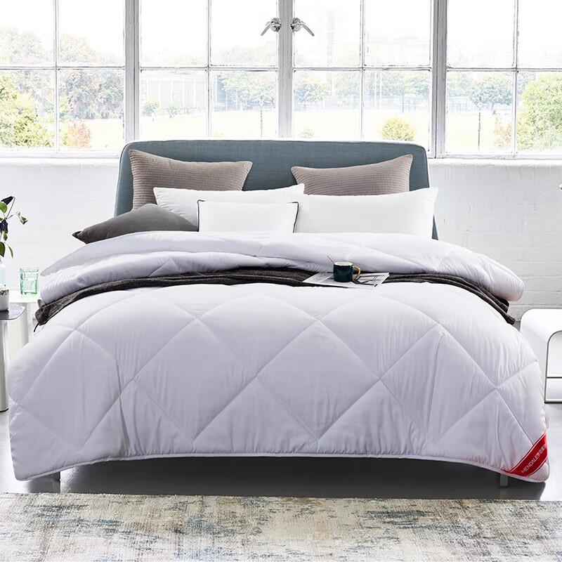 MENDALE Warm Cloud Fiber Duvet
