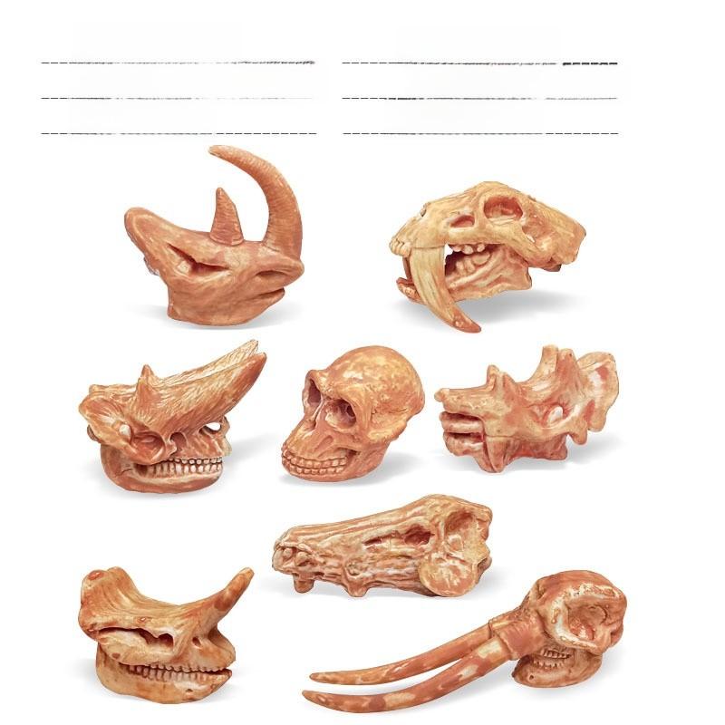 Древний Череп Животного ПВХ Реплика Статическая Модель Для Образовательных И Домашних Целей StyleB