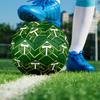 Portland Timbers Indoor Soccer Ball Size 5 Colorful All Ages Machine Stitched PVC Competition Ready Durable High-Bounce