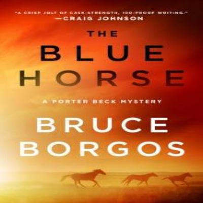 The Blue Horse by Bruce Borgos Hardback Book 9781250373908