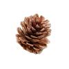 2-14cm Pine Cone Christmas Decoration Pendants - Dried Fruit and Photography Props Accessories