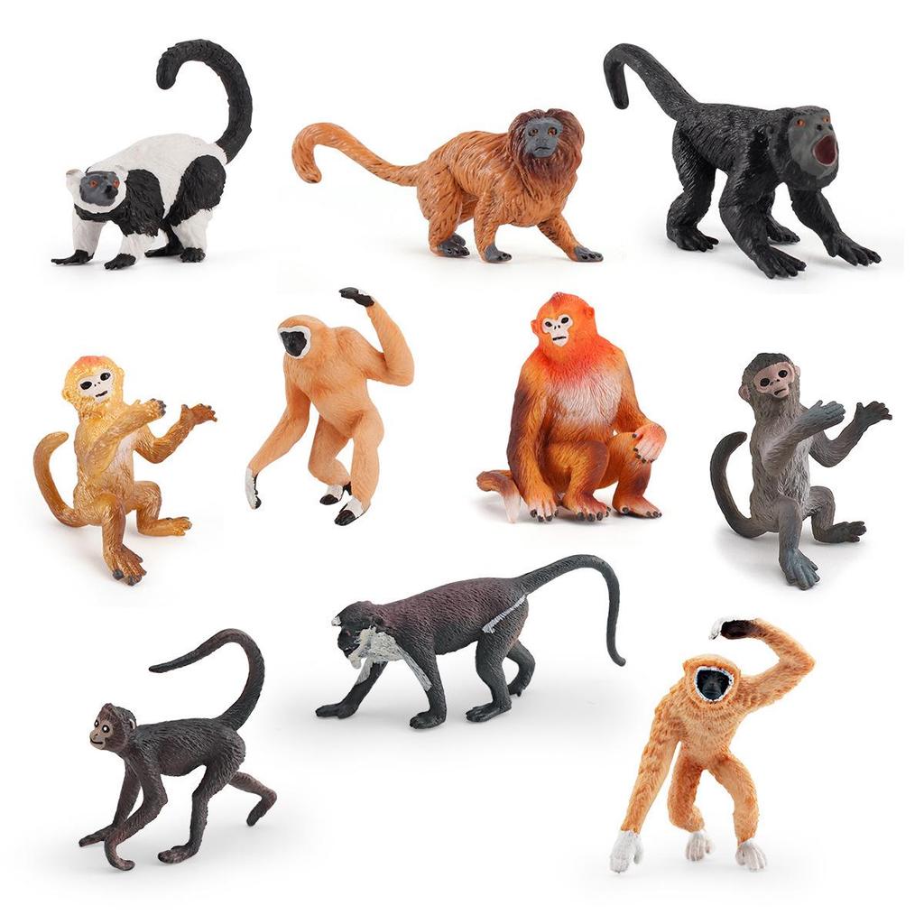 Exotic Primate Cognitive Simulation Animal Model