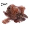Feather Decorations for Colors 4.5-10cm Natural Chicken Guineahen Feathers Crafts 50Pcs Tail Bright Colored DIY