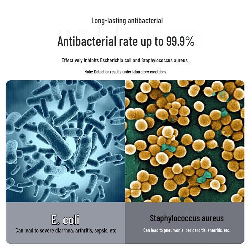 Long Handle Toilet Cleaning Brush