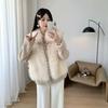 Winter New Young Fox Hair Stripe Jacket Women's Lapel Short Small Knitted Sleeve Vest Removable
