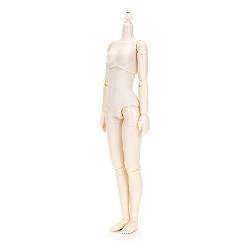 

Obitsu Doll 24BD-F02W-M 24cm Obitsu Body, Bust M, New White