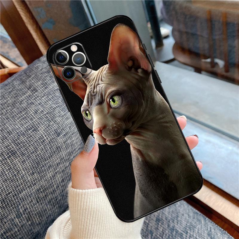 Sphinx Cat Printing Drawing Phone Case For iPhone 14 15 16 Pro Max 11 12 13 Pro X XR XS Max 14 Plus Soft Cover