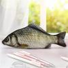 Creative Realistic Crucian Carp Pencil Case, Funny Fish Shaped Stationery Pouch for Students