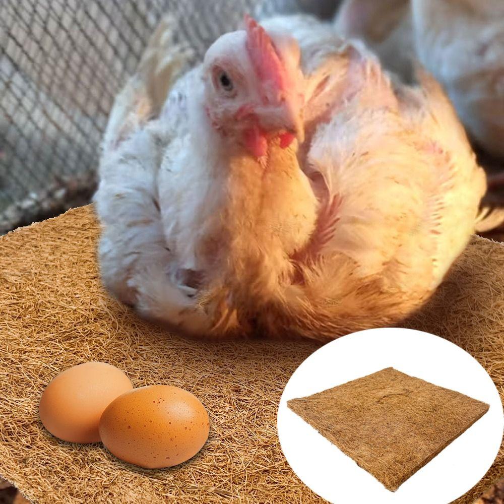 6Pcs Freeze-proof Hens Bedding Mat Square Reptile Box Mat Natural Chicken Hatch Pads  Farm