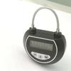 Sex BDSM Time Lock  Bondage Locking with Timing Control  Auto Unlock When Time Due