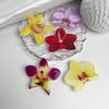 Orchid Acrylic Socket Grip Flower Phone Holder Socket Folding Phone Grip Phone Support Hot Talent Recommendation For IPhone 16