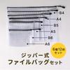 EINEY Zipper File Receipt File Clear Pouch with Mesh Large Travel Storage 6 Set each of and B6 Zipper, Waterproof, Water-Resistant, Case, Transparent,