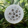 Invisible Plastic Transparent Flower Arranging Device, Spiral Flower Arranging Artifact