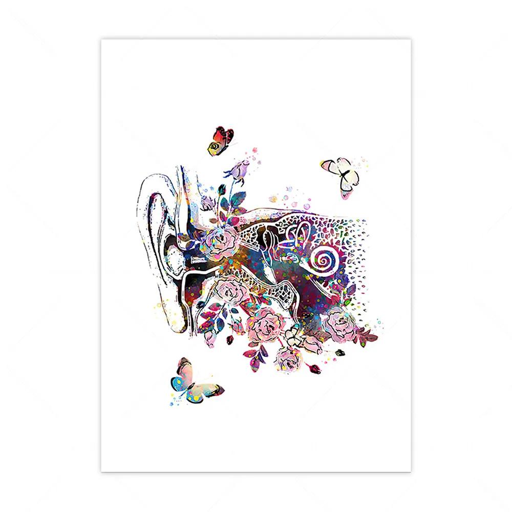 Anatomical Inner Ear Audiology Cochlea Wall Art Canvas Painting Nordic Posters And Prints Wall Pictures For Medical Clinic Decor