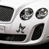 Butterfly Sticker On The Car Vinyl Decal Waterproof Decoration Car Stickers