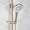 Rea Foss Matte Brushed Gold Exposed Shower Set