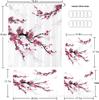 Luxurious HD Plum Blossom Shower Curtain Set - Personalized Design, Four Pieces