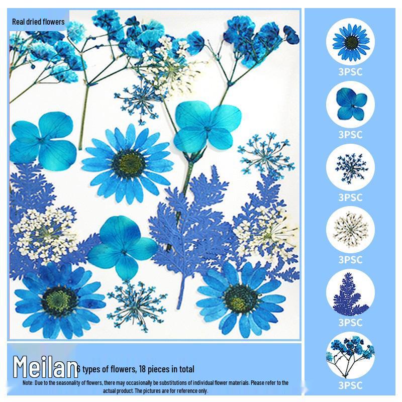 Handmade Resin Pressed Flower Bookmark DIY Kit: Transparent Specimen Stickers & Dried Flowers for Students