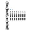 LS Truck Cam Kit, Cast Iron Cam Replacement Kit with Springs & Valve Seals, Compatible with 1999-2013 GM Gen3/4 Norris Trucks, Fits 4.8L