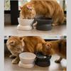 Elevated Non-Slip Pet Bowls For Cats Food Water Bowl Cats Bowl Pet Feeding Cats Dogs Feeder Neck Guard Stand