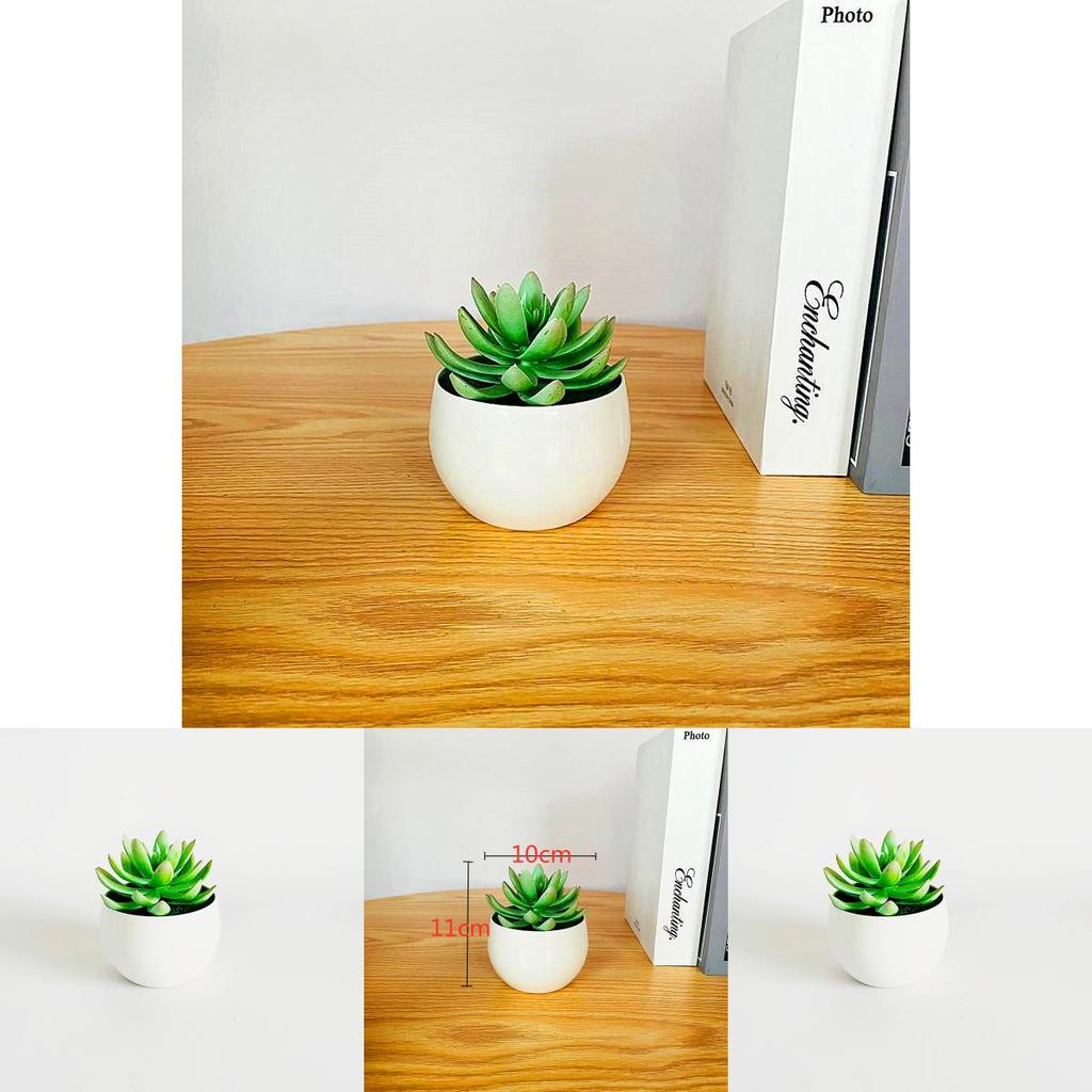 Plastic Succulent Flower Pot With Realistic Design For Home Decor And Desktop Display