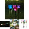 Solar Tulip Lawn Light With Ip44 Protection Long-lasting 16 Hour Illumination