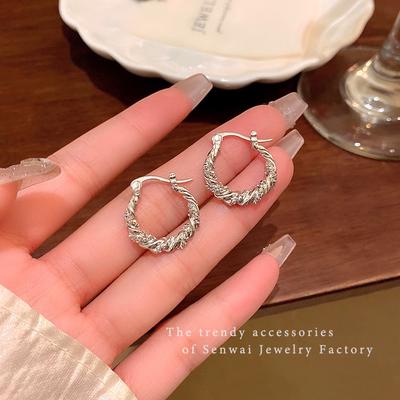 Korean Wound Metal Ear Buckle Women's Niche Cold Wind Silver Earrings Trendy Personality Ears