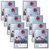 Aluminum Frame Peoria Poster Frame Photo Frame PET Panel AMZFAPE-SV10A4 with Hanging Cord