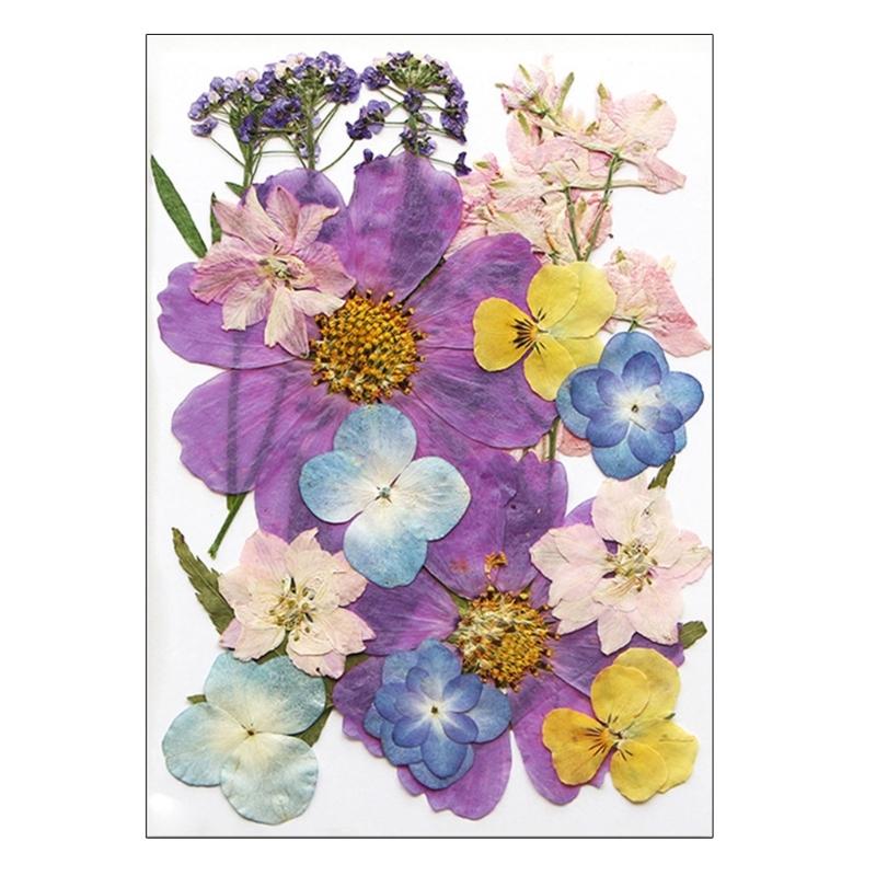 Dried Pressed Flower for Resin Molds Natural Dry Flower Leaves for Art Craft Supplies Scrapbooking Jewelry Making 6XDE