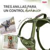 Dog Harness Company of Animals Green L 42-65 cm
