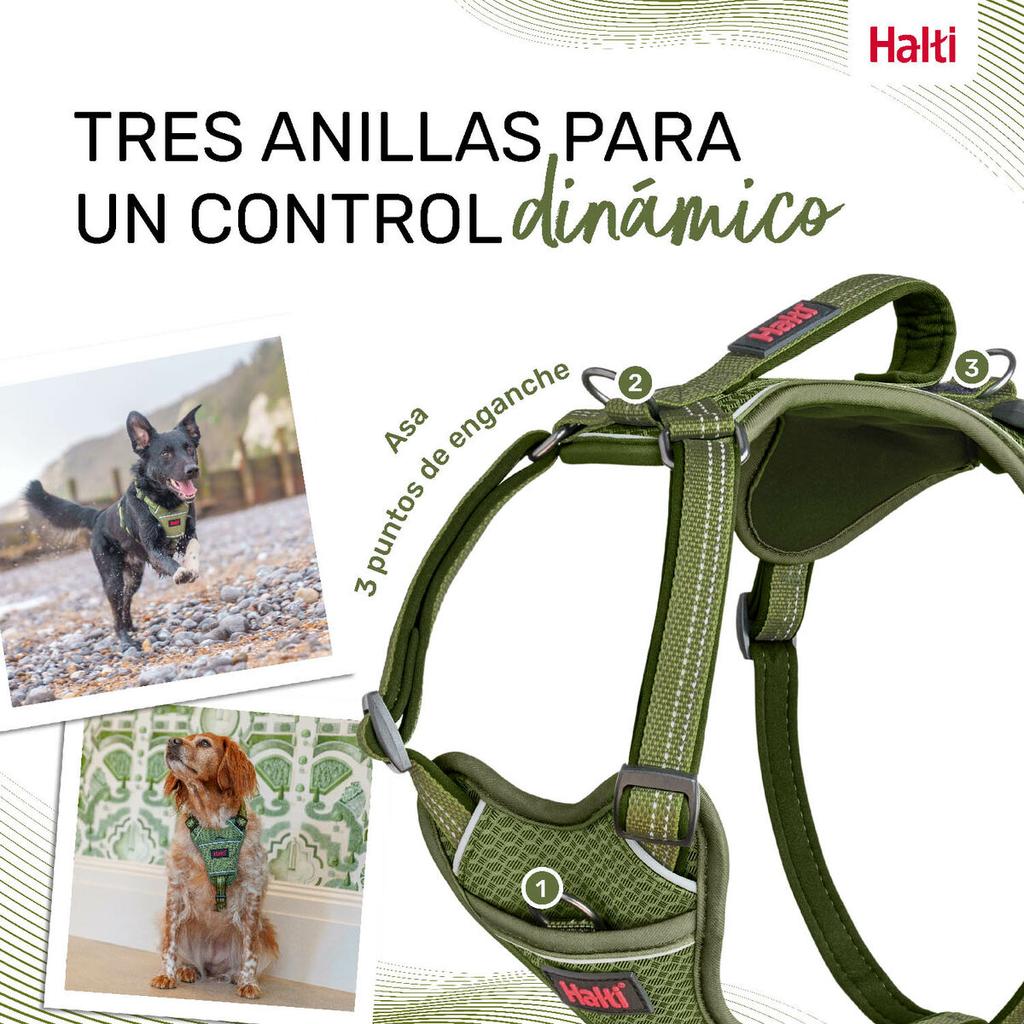 Dog Harness Company of Animals Green L 42-65 cm
