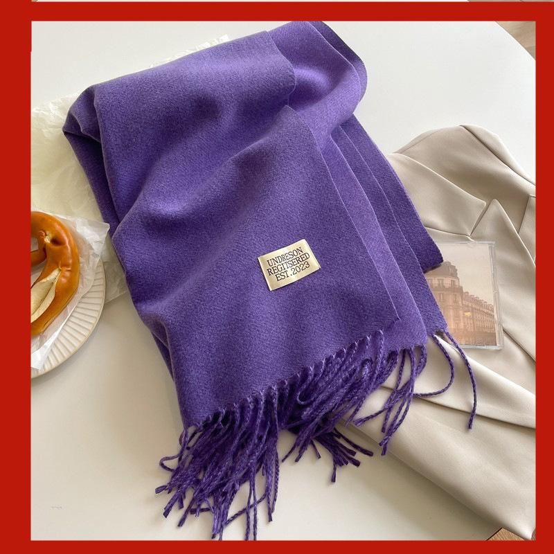 2024 Herbst und Winter Imitation Kaschmir Schal Einfarbig Modisch Vielseitig Warm Schal Quaste Schal