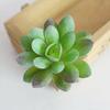 5pcs Mini Artificial Succulents Plant Fake Cactus Garden Home Office Decor Sets