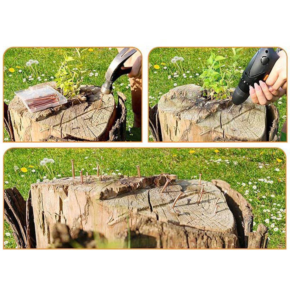 12 Stück Baumkiller-Nägel 4-Zoll-Kupfernägel zum Töten von Bäumen, Baumstumpfwurzel, Stumpfentfernungs-Spikes, Hardware, Gartenhandwerkzeuge