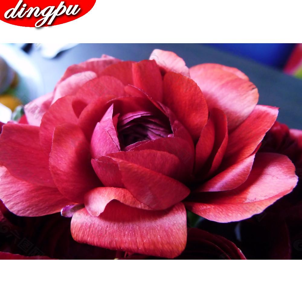 5D DIY diamant schilderij volledige ronde klaproos bloem kit diamant borduurwerk mozaïek decoraties thuis