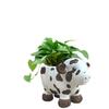 Adorable Modern Simple Cow Resin Succulent Planter Pot For Indoor And Outdoor Decor