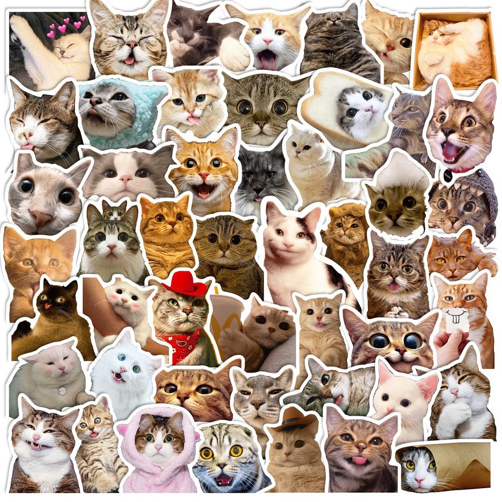 50 Cat Stickers Cute Cute Cat Cute Internet Celebrity Cat Emoticon Pack Graffiti Stickers