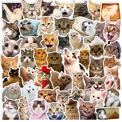 50 Katzenaufkleber Niedlich Niedliche Katze Niedliche Internet-Berühmtheit Katze Emoticon-Paket Graffiti-Aufkleber