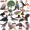 Kids' Bird Model Set: Toucan, Parrot, Ostrich, Peacock, Eagle, Pigeon, Owl.