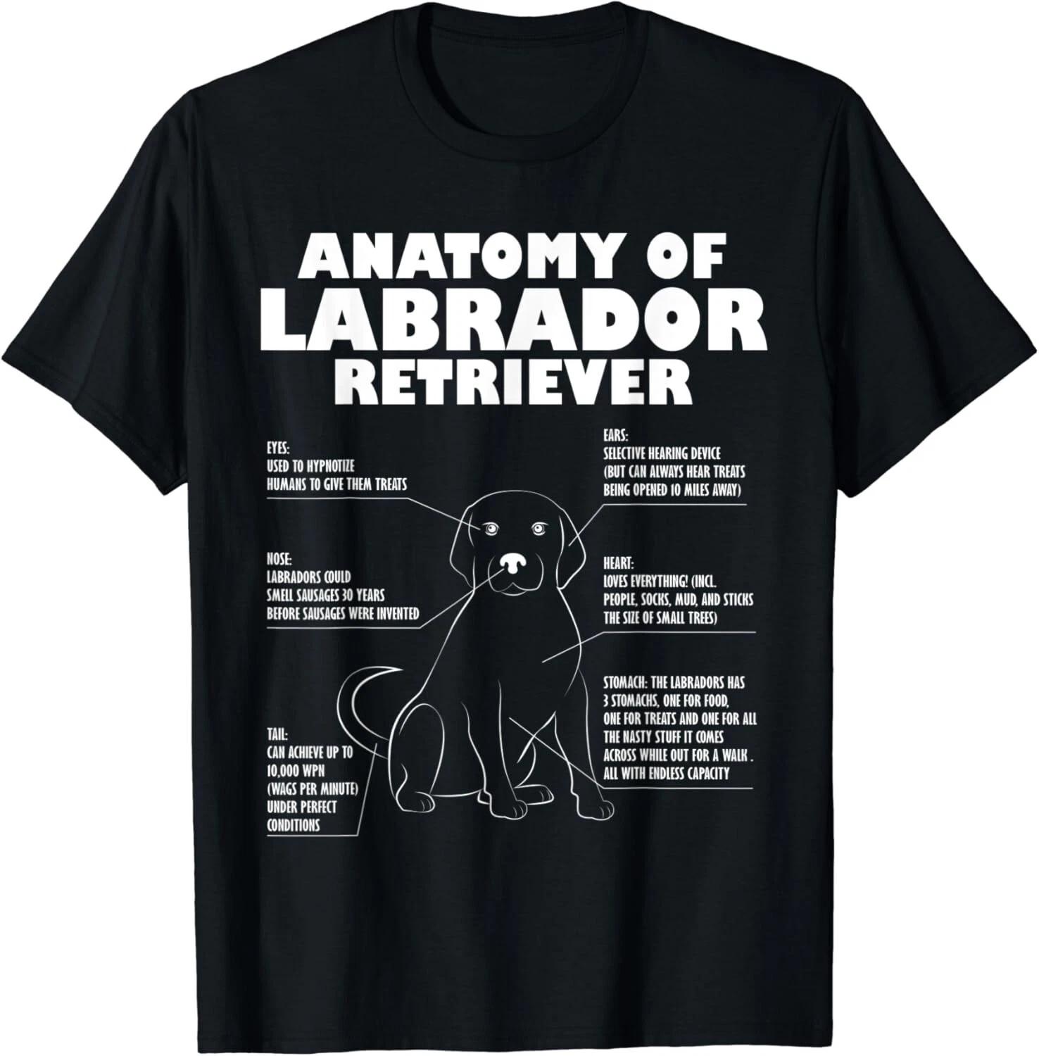 Funny Labrador Shirt Anatomy of a Labrador Retriever Dog Gift Unisex T-Shirt L