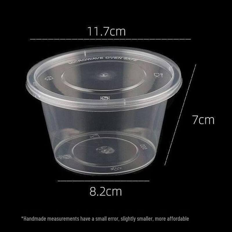 ZISIZ Disposable Rectangular Picnic Lunch Box Set